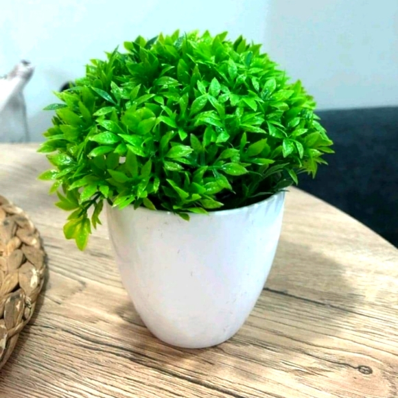 Artificial potted plant - Picture 1 of 1